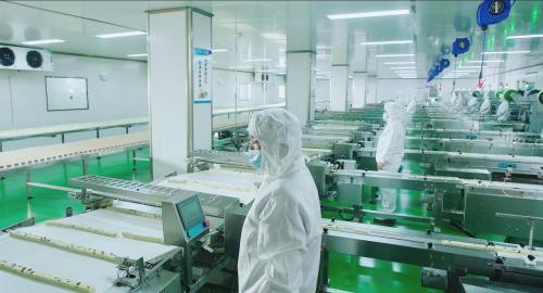 谷焙奇:以品质为基,守护食品安全的绿色承诺