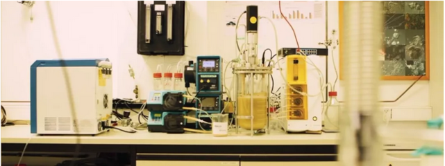 污水变蛋白?荷兰比利时科学家探索下水道到餐桌的创新氮循环技术