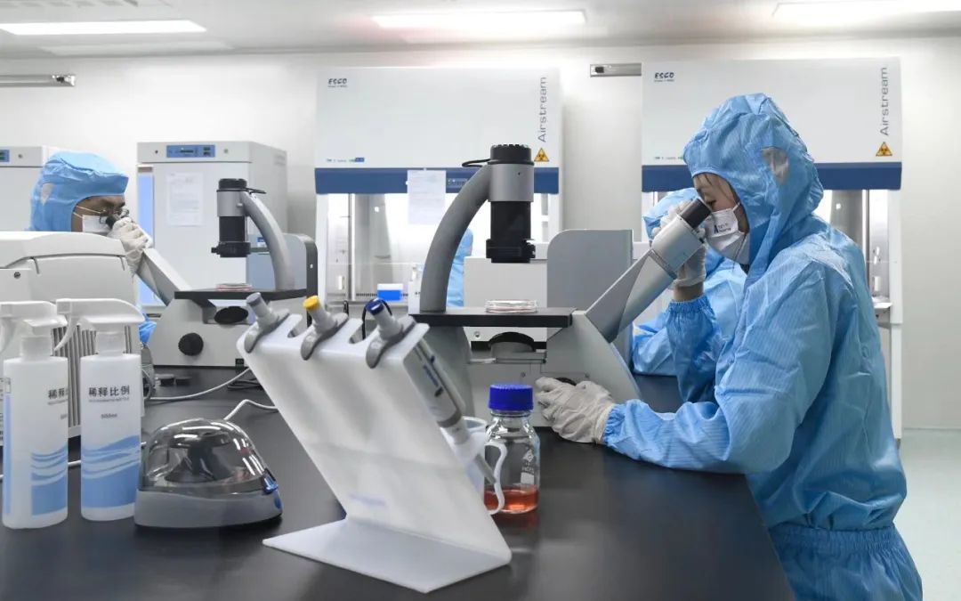 徐州重大产业项目观摩走进经开区 聚焦高端制造与微生物检测前沿